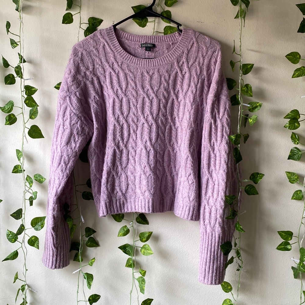 Wild fable cropped sweater